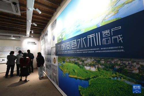 水清岸綠民富 綠色太湖譜新篇——新時(shí)代長三角區(qū)域文化場館管理服務(wù)的創(chuàng)新實(shí)踐